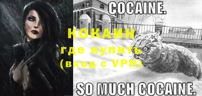 OMG ONION  Новоалтайск  Cocaine 97% 